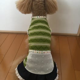 らくすさんの作品