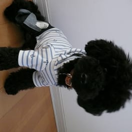 くろねこまめさんの作品