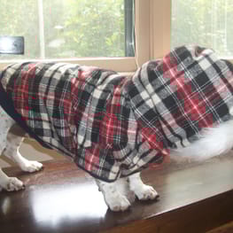 deviltakaさんの作品