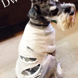 Dwarfさんの作品