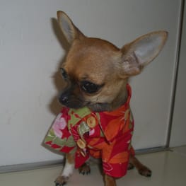 さちママさんの作品