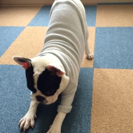 makiron0207さんの作品