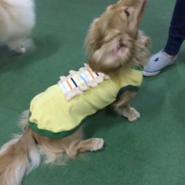 か〜ちゃさんの作品