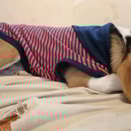 ウィンさんの作品