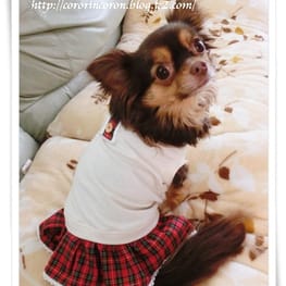 roncoさんの作品