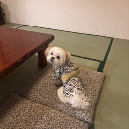 てんちゃんままさんの作品