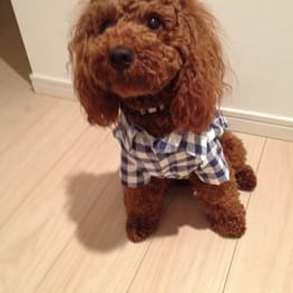 sunmomさんの作品