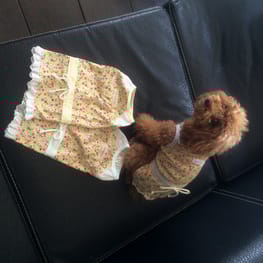 らいこさんの作品