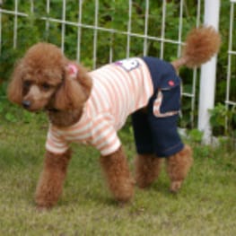 ちみこママさんの作品