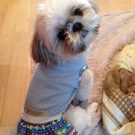 かよママさんの作品