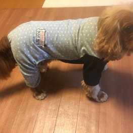 はるさんの作品