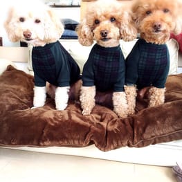 blancoさんの作品