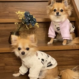 anirokitchenさんの作品