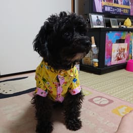 はにまる8008さんの作品