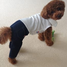 yuccoさんの作品