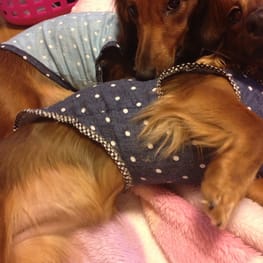 かなちゃんさんの作品