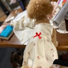 あ～すけさんの作品