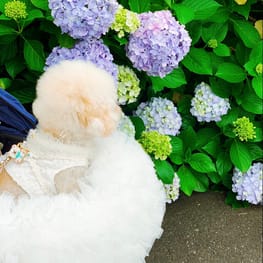 Infinityさんの作品