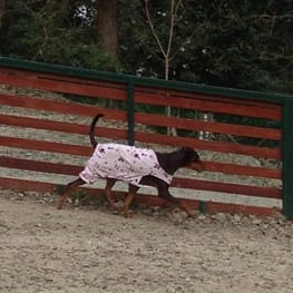 Aliceさんの作品