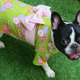 げんこつママさんの作品