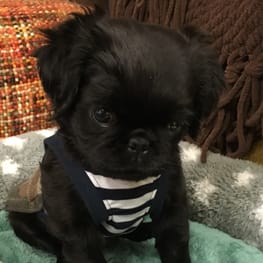 かんれいさんの作品