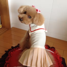 らくすさんの作品