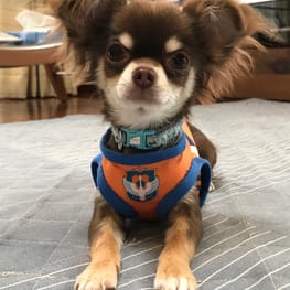 たーやさんの作品