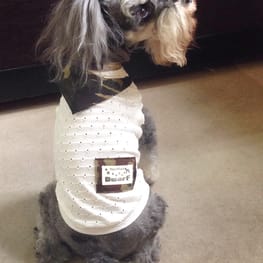 Dwarfさんの作品