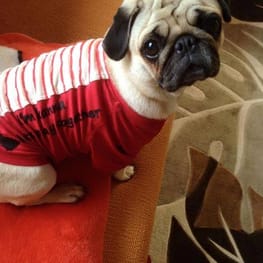 かんれいさんの作品