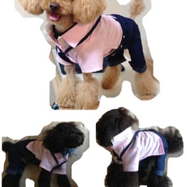 M・trueさんの作品