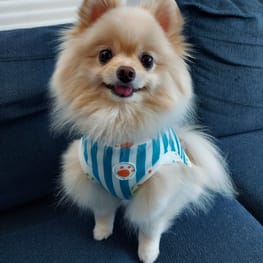 にこママさんの作品