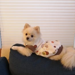 にこママさんの作品