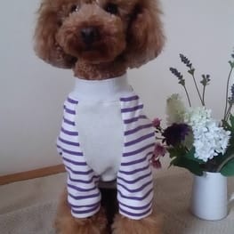 マーロンmamaさんの作品