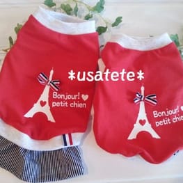 usakorinさんの作品