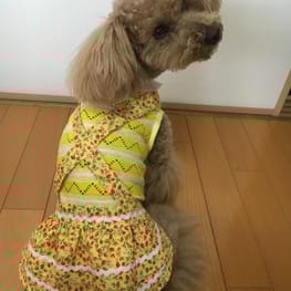 らくすさんの作品