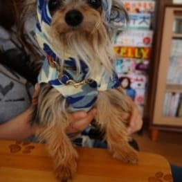 ちみこママさんの作品