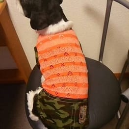 らくすさんの作品