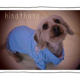 ひなはなさんの作品