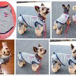 なおまろんさんの作品