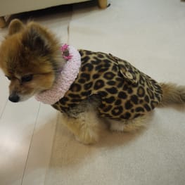 milk☆さんの作品