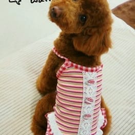 ちょここさんの作品