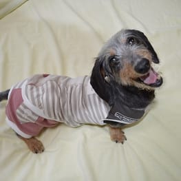 ひなはなさんの作品