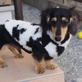 うらんさんの作品