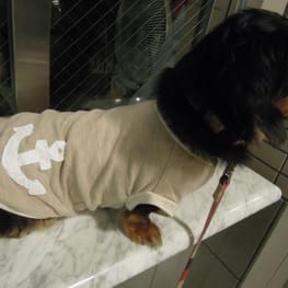 ライさんの作品