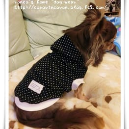 roncoさんの作品