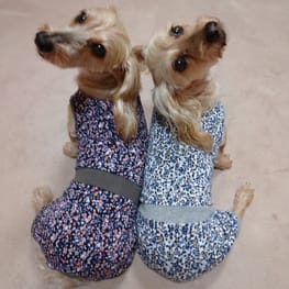 ひなはなさんの作品