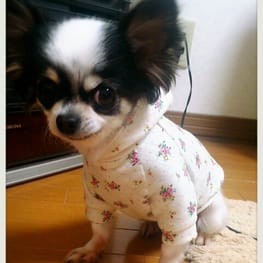 キャサリンさんの作品