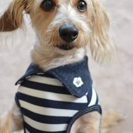 ひなはなさんの作品