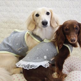 mamehanasoraさんの作品