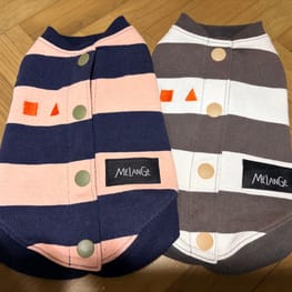 コテちゅさんの作品